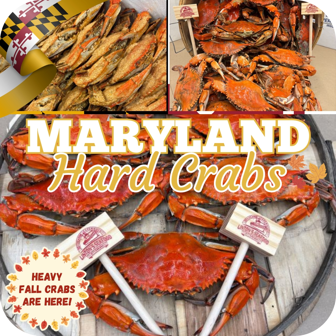 Image Shop Maryland Crabs